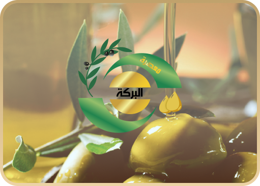 albaraka logo
